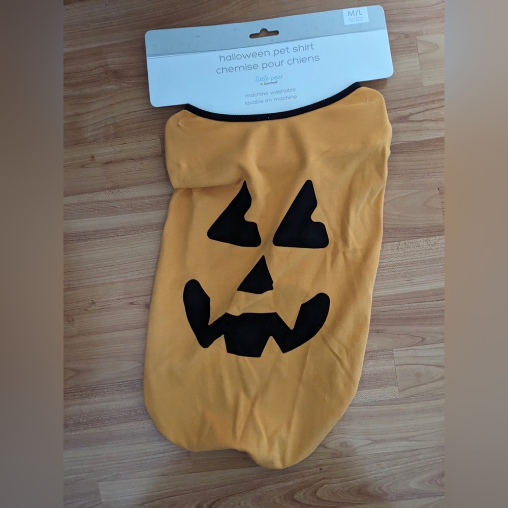Spooky Pumpkin dog Costume